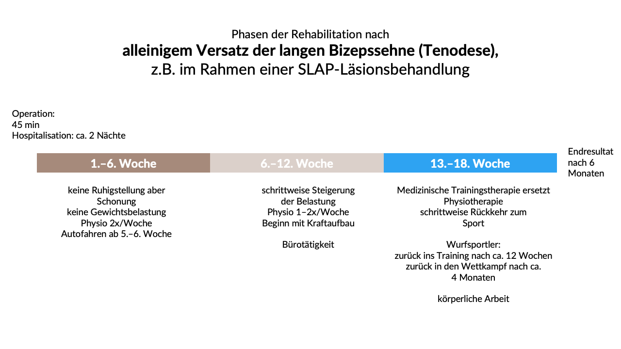 Phasen der Rehabilitation nach alleinigem Versatz der langen Bizepssehne (Tenodese), z.B. im Rahmen einer SLAP-Läsionsbehandlung